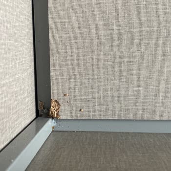 Enza Home Ayıplı Baza Ve Başlık, Satış Sonrası Hakaret Ve İade Reddi
