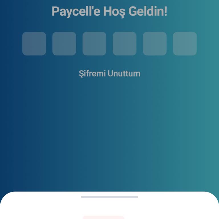 Paycell Hesabı Gerekçesiz Kapatıldı Ve Bakiye İadesi Talep Ediliyor