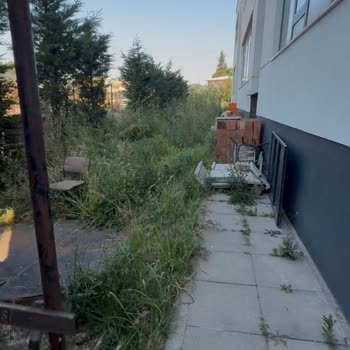İzmit Belediyesi Okul Bahçesindeki Ot Kesimini İhmal Ediyor