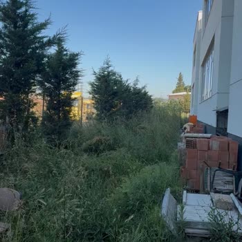 İzmit Belediyesi Okul Bahçesindeki Ot Kesimini İhmal Ediyor