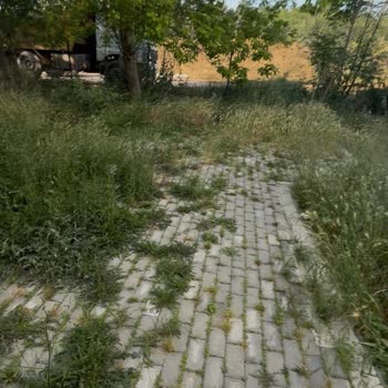 İzmit Belediyesi Okul Bahçesindeki Ot Kesimini İhmal Ediyor