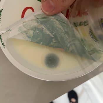 Süresi Geçmemiş Olmasına Rağmen Küflü Yoğurt Teslim Edildi