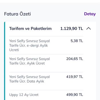 Türk Telekom Ücretsiz Görünen Uppy Aboneliği İçin 500 TL Ücretlendirme