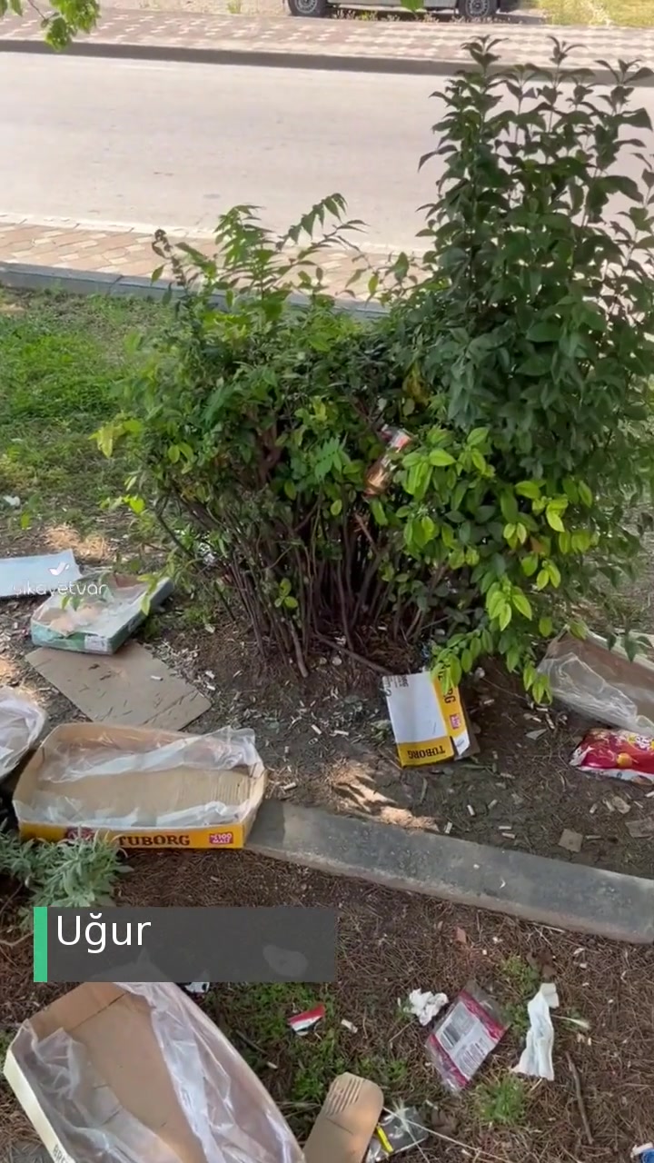 Kocaeli Gebze Yunus Emre Parkı Alkoliklerin İşgali Altında videonun kapak resmi