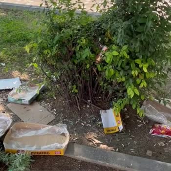Kocaeli Gebze Yunus Emre Parkı Alkoliklerin İşgali Altında