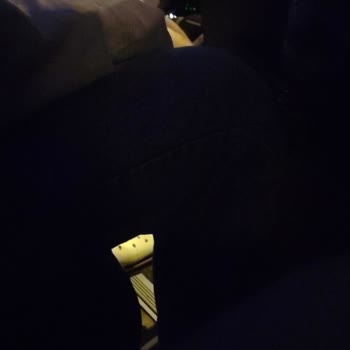 Otobüste Sigara İçen Şoförün Kanuni Yasağa Aykırı Davranışı