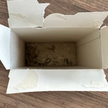 Mantar İçeren Barilla Makarnası, Telafi Edilmeyen Mağduriyet