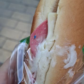 Dardanel A101'de Sandviçte Plastik Parça Bulunması