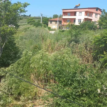 Gökçe Mahallesinde Aşırı Ot Ve Dikenler Yangın Riski Yaratıyor