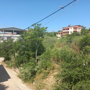 Gökçe Mahallesinde Aşırı Ot Ve Dikenler Yangın Riski Yaratıyor