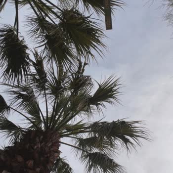Yüksek Ücret, İlgisiz Destek Ve Kayıp Eşya: Tatilbudur Ve Sami Beach Hotel Mağduriyeti