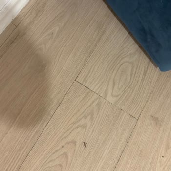 Hotel Lux'te Hijyen Sorunları Ve Kısmi Ücret İadesi Talebi