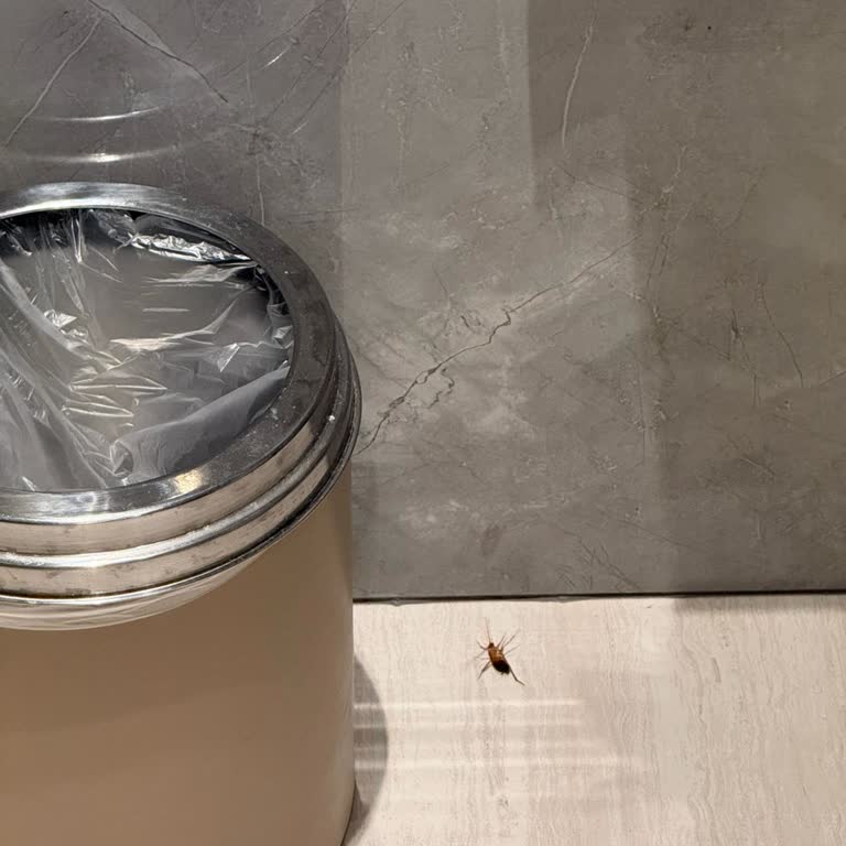 Ultra Her Şey Dahil Tatilde Oda Hazırlıksızlığı, Cam Kırıkları Ve Güvenlik İhmali