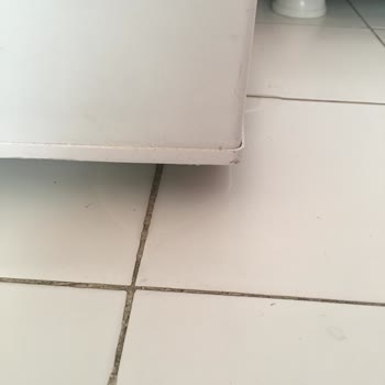 Sık Ve Uzun Süreli Elektrik Kesintileri Nedeniyle Dondurucu Gıdalarımız Bozuluyor Ve Maddi Kayıp Yaşıyoruz