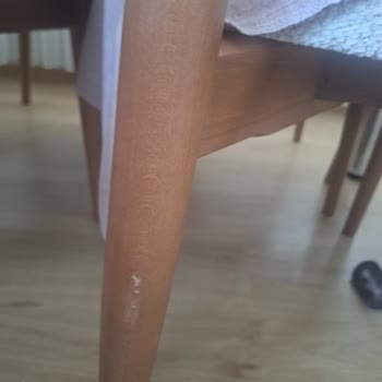 Deforme Ve Hasarlı Sandalyeler İçin 5 Aylık Bekleyiş Ve Çözüm Yok