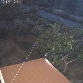 Işıksız Evde 30 Yıllık Aydınlatma Bedeli Sorunu Mahkeme Yolunda