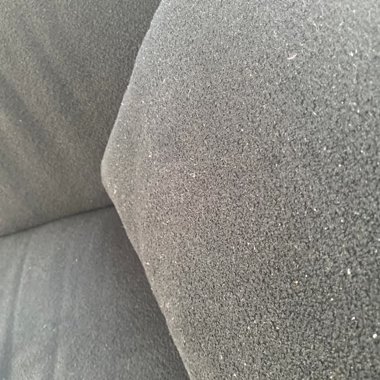 Hamm Design Kuş Tüyleri Döşeme Kumaşının Dışına Çıkmaya Başladı