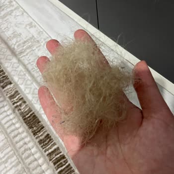 Kuaför Saçımı Yaktı Ve Koptu, 4000 TL İade Talebim