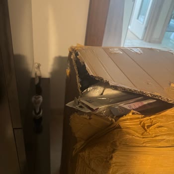PTT Kargo Hasarlı Koli Teslimi Ve Sorumluluk Reddi