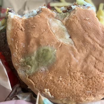 Küflü Brioche Ekmeği Nedeniyle Sağlık Endişesi Ve Ücret İadesi Talebi