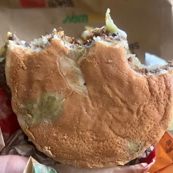 Küflü Brioche Ekmeği Nedeniyle Sağlık Endişesi Ve Ücret İadesi Talebi