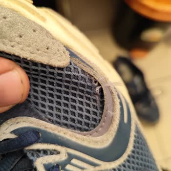 Sneaks Up Ayakkabısında 10 Gün İçinde Dikiş Patlaması Ve Garanti Reddi