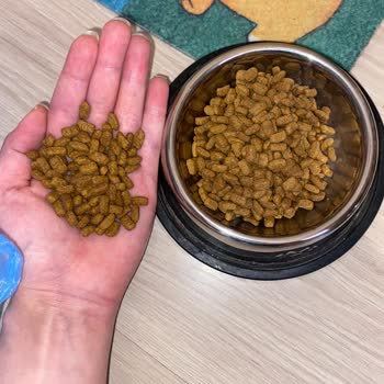 Aya Store Sahte Kedi Maması Satıyor Ve İadeyi Reddediyor