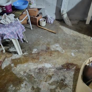 Bedesten Sokak'tan Sefa Sokak Bodrum Katına Uzun Süreli Kanalizasyon Sızıntısı Ve Yoğun Koku