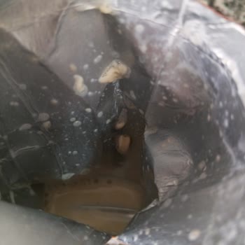 Sek Çilekli Meyveli Süt Bozuldu, Çocuklarda Sağlık Riski