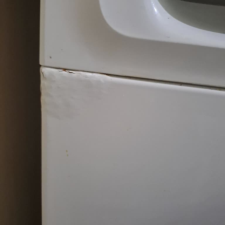 Profilo Çamaşır Makinesinde Deterjan Gözü Paslanması Ücretsiz Onarım Talebi