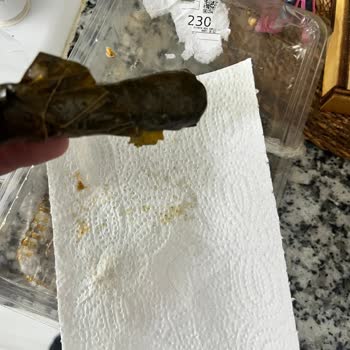 Migros Sivas Şubesinde Yaprak Sarmasında Kıl Bulunması Hijyen Endişesi