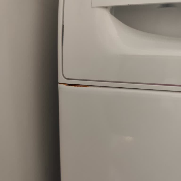 Profilo Çamaşır Makinesinde Tekrar Eden Paslanma Sorunu