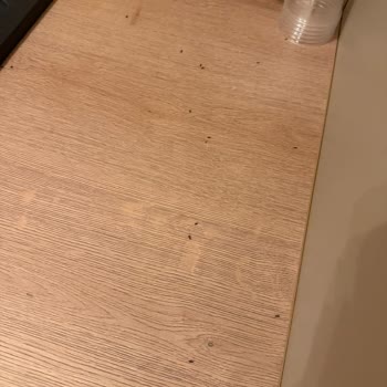 Etstur Kusurlu Balkan Turu