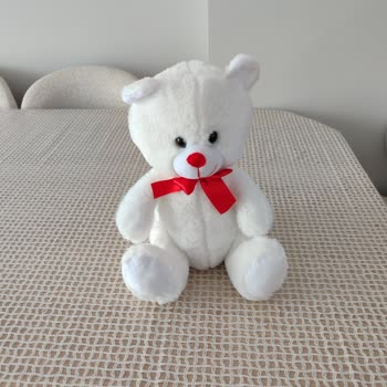 Promosyon Peluş Boyutu Uyuşmazlığı Ve İade Sözünün Gözardı Edilmesi