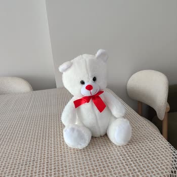 Promosyon Peluş Boyutu Uyuşmazlığı Ve İade Sözünün Gözardı Edilmesi