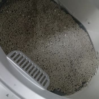 Kırılan Taban Matı İçin Yedek Parça Ve Müşteri Hizmetlerinden Geri Dönüş Talebi