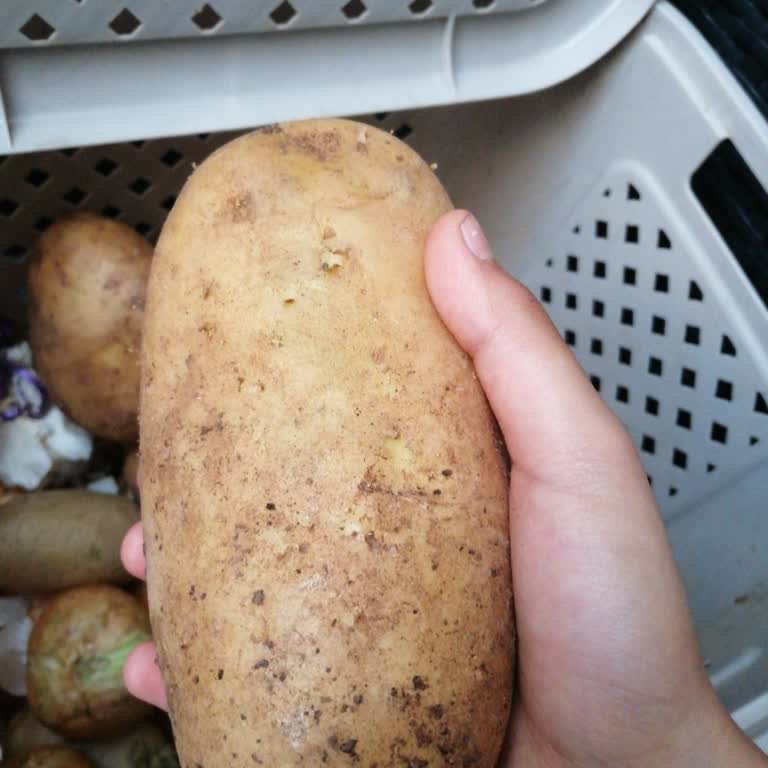 Koop Markette Kısmi İade Reddedildi Ve Müşteri Mağdur Oldu