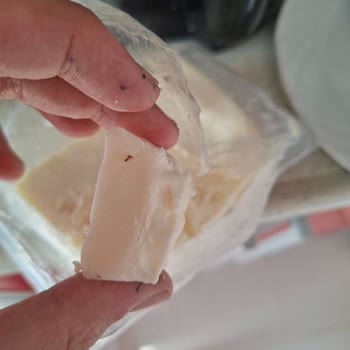 Peysan Beyaz Peyniri İçinde Kıl Ve Bilinmeyen Böcek Parçası Gıda Güvenliği Endişesi