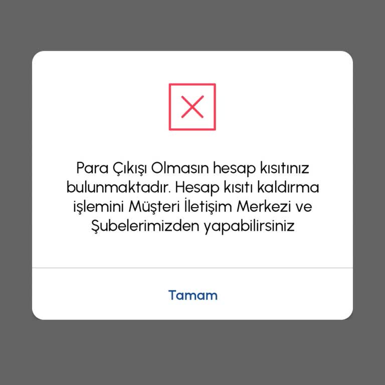 30 Bin TL’lik Bakiyeme Erişememe Nedeniyle Hesap Kısıtlaması Şikayeti
