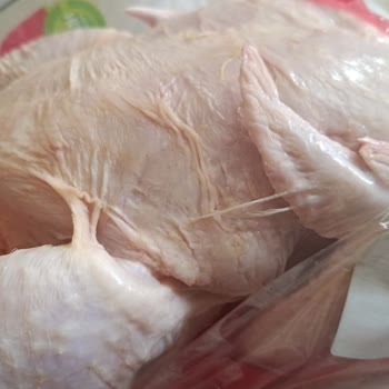 Gedik Piliçte Temizlenmemiş Tüy Ve Kıl Kalıntıları