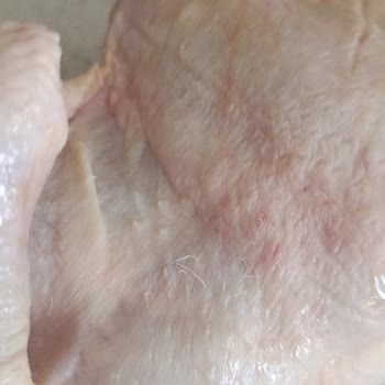 Gedik Piliçte Temizlenmemiş Tüy Ve Kıl Kalıntıları