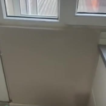 Polisan Renk Uyuşmaması, Gizemli Bej Aldım Alakası Yok Resmen Mor Oldu