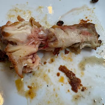 Sorgun Şehzade Et Mangal Umursamaz Tavır!
