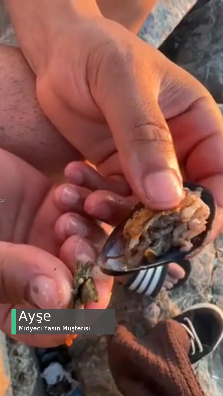 İzmir Konak Midyeci Yasin Şubesi Çok Kötü videonun kapak resmi