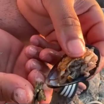 İzmir Konak Midyeci Yasin Şubesi Çok Kötü