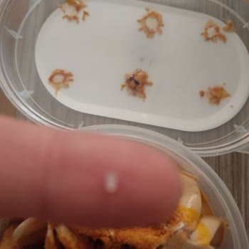 Migros’tan Satın Aldığım Dondurmanın İçinde Sert Yabancı Parça