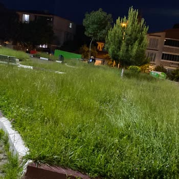 Parkın bakımsızlığı ve yenilenme talebi