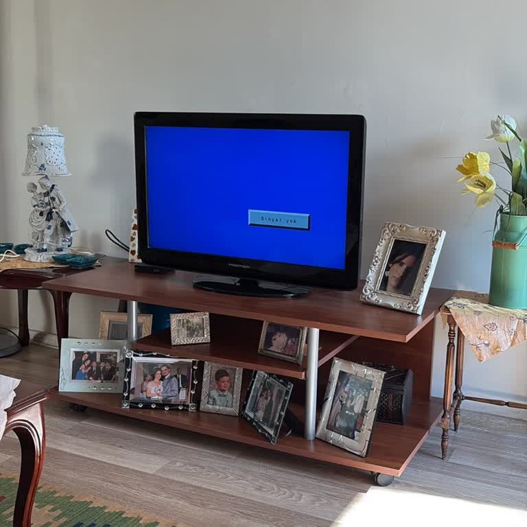 Yaşlı Anneme TV Bu Cihazı İnterneti Algılamıyor Ve Yayın Sürekli Kesiliyor