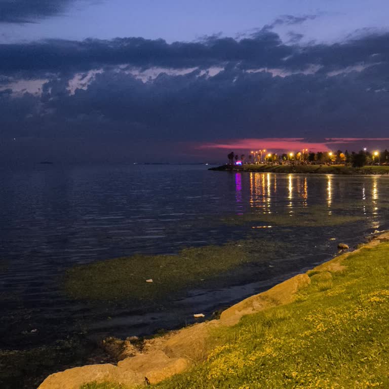 Balyanoz Sahili'nde Şiddetli Koku Ve Atık Sorunu