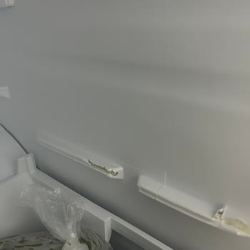 Beko Buzdolabının Dondurucu Kapak Arızası Ve Sıfır Değişim Talebi